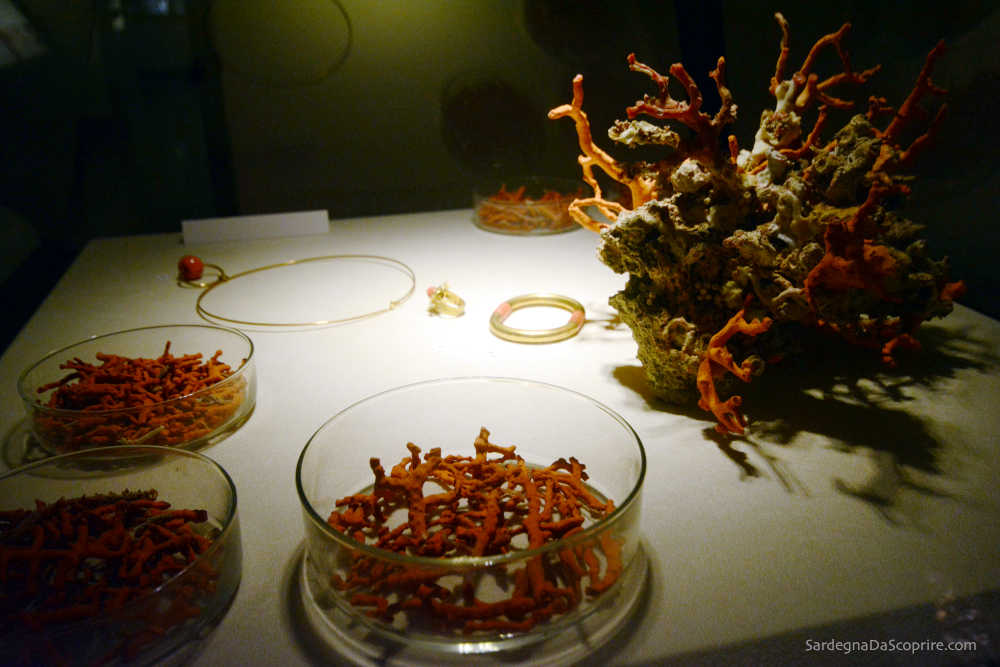 Immagine: Esposizione del Museo del Corallo, uno dei luoghi da visitare ad Alghero