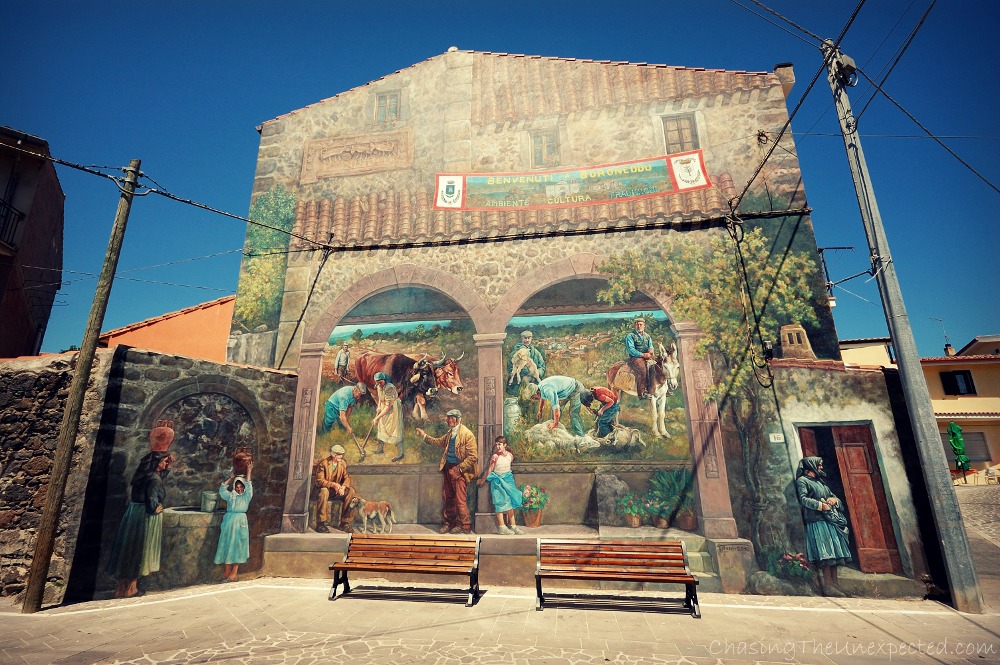 Immagine: Boroneddu in Sardegna.